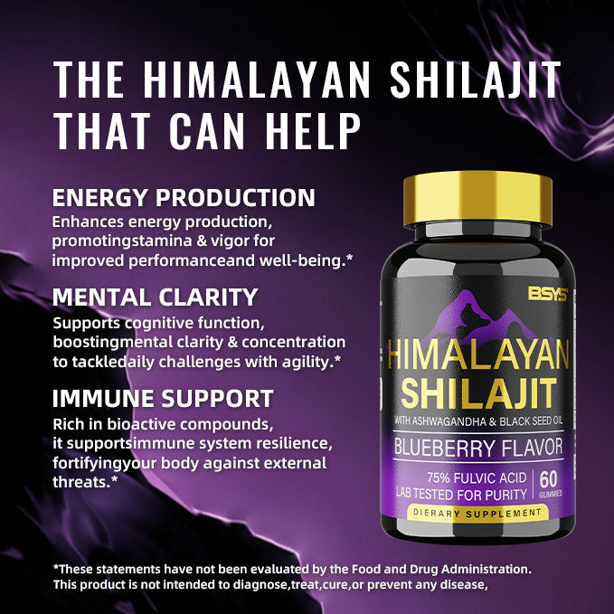 BSYS SHILAJIT GUMMIES 60'S